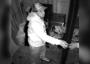 WATCH: Westminster Intruder Eats, Naps, and Steals While Residents Sleep Nearby